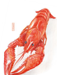Rule 34 | 392610595, animal, animal focus, artist name, highres, lobster, no humans, original, painting (medium), shadow, simple background, traditional media, watercolor (medium), white background