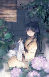 Rule 34 | 1girl, ahoge, bamboo screen, black hair, blue eyes, blurry, branch, commentary request, day, depth of field, flower, folded clothes, folding clothes, from outside, from side, hair ribbon, hands up, highres, holding, holding clothes, hydrangea, japanese clothes, kamiya kaoru, kimono, leaf, long hair, long sleeves, looking afar, looking away, looking to the side, looking up, natsu mikan (level9), on floor, open door, parted lips, ponytail, purple flower, rain, ribbon, rurouni kenshin, seiza, sitting, solo, tatami, wide sleeves, yellow kimono