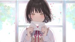 Rule 34 | 1girl, black hair, blunt bangs, blush, collared shirt, covered mouth, day, envelope, hankou yokoku (honeyworks), holding, holding envelope, honeyworks, letter, long sleeves, looking at viewer, love letter, neck ribbon, no nose, red ribbon, ribbon, second-party source, shirt, short hair, solo, straight-on, upper body, vest, white shirt, window, yellow eyes, yellow vest, yuyu
