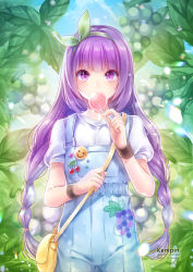 Rule 34 | 1girl, artist name, badge, bag, blunt bangs, blush, braid, breasts, button badge, candy, cowboy shot, day, eating, food, fruit, grapes, green hairband, green ribbon, hair ribbon, hairband, handbag, hobak, holding, holding food, leaf, lollipop, long hair, looking at viewer, mini person, minigirl, original, outdoors, overalls, pixiv id, purple eyes, purple hair, ribbon, shirt, short sleeves, shoulder bag, smiley face, solo, sweatband, tareme, twin braids, twitter username, very long hair, white shirt