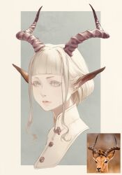 Rule 34 | 1girl, animal, animal ear fluff, animal ears, bani-lizo, bird, blunt bangs, closed mouth, colored extremities, cropped shoulders, deer, deer ears, grey background, grey eyes, highres, horns, lips, looking at viewer, original, outside border, photo inset, pointy ears, reference inset, sidelocks, solo, toggles, white hair