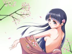 Rule 34 | 10s, 1girl, back, bad id, bad pixiv id, bare back, bare shoulders, blue eyes, blue hair, blush, braid, breasts, cherry blossoms, flower, from behind, hair flower, hair ornament, highres, idolmaster, idolmaster cinderella girls, japanese clothes, kimono, kobayakawa sae, long hair, looking back, matching hair/eyes, nipples, no bra, open mouth, pentasa, petals, small breasts, solo, topless, wind
