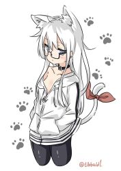 Rule 34 | 10s, 1girl, alternate costume, animal ears, bad id, bad twitter id, bespectacled, black-framed eyewear, black pantyhose, blue eyes, blush, bow, breasts, cat ears, cat tail, closed mouth, collar, collarbone, cowboy shot, cropped legs, ebifurya, eyebrows, glasses, hands in pockets, hibiki (kancolle), highres, hood, hoodie, inactive account, kantai collection, kemonomimi mode, long hair, looking at viewer, off shoulder, pantyhose, paw print, pocket, red bow, semi-rimless eyewear, sidelocks, simple background, small breasts, solo, tail, twitter username, under-rim eyewear, white background, white hair, zipper, zipper pull tab