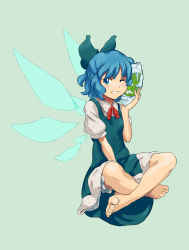 Rule 34 | 1girl, bad id, bad pixiv id, barefoot, blue hair, cirno, embodiment of scarlet devil, feet, frog, grin, ice, one eye closed, shibasaki shouji, simple background, sitting, smile, solo, touhou, wink