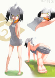 Rule 34 | 10s, 1girl, 2017, all fours, ass, backless dress, backless outfit, bare back, bare shoulders, barefoot, black hair, breasts, butt crack, dated, dress, feathered wings, feet, full body, grass, grey sweater, hari nezumi otoko, head wings, highres, japari symbol, kemono friends, long hair, low ponytail, meme attire, multicolored hair, multiple views, naked sweater, no tail, orange hair, ribbed sweater, shoebill (kemono friends), side ponytail, sideboob, silver hair, small breasts, soles, standing, sweater, sweater dress, toes, turtleneck, turtleneck sweater, underboob, virgin killer sweater, wings