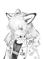 Rule 34 | 1girl, absurdres, ahoge, animal ear fluff, animal ears, arknights, choker, closed mouth, collarbone, commentary request, dress, greyscale, hair between eyes, highres, hood, hood down, hooded jacket, jacket, looking at viewer, material growth, monochrome, open clothes, open jacket, oripathy lesion (arknights), simple background, solo, sussurro (arknights), upper body, white background, yamori no o
