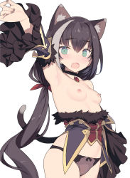 Rule 34 | 1girl, animal ear fluff, animal ears, armpits, bare shoulders, black choker, black hair, black panties, blade (galaxist), bow, bow panties, breasts, cat ears, cat tail, choker, collarbone, detached sleeves, fang, green eyes, highres, karyl (princess connect!), long hair, low twintails, multicolored hair, nipples, open mouth, panties, princess connect!, red ribbon, ribbon, simple background, skin fang, small breasts, solo, streaked hair, tail, twintails, underwear, very long hair, white background, white hair