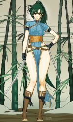 Rule 34 | 1girl, absurdres, bamboo, bamboo forest, boots, breasts, earrings, female focus, fire emblem, forest, full body, gloves, green eyes, green hair, groin, highres, jewelry, katana, legs, lips, long hair, long legs, looking at viewer, lyn (fire emblem), medium breasts, nature, nintendo, parted lips, pelvic curtain, ponytail, rahime, smile, solo, standing, sword, thighs, weapon, wide hips