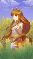 Rule 34 | 1girl, animal ears, blue sky, breasts, brown hair, cloud, day, expressionless, groin, hair censor, hand on own chest, highres, holo, long hair, nude, outdoors, red eyes, sky, small breasts, solo, spice and wolf, tail censor, wheat, wolf ears, youzi (small shabao)