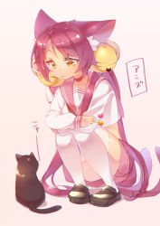 Rule 34 | 1girl, animal ears, artist name, bell, black cat, blush, brown footwear, candy, cat, cat ears, cat girl, cat tail, chromatic aberration, crop top, food, full body, jingle bell, loafers, lollipop, long hair, looking at another, multiple tails, original, partially translated, pink background, pink hair, pink skirt, school uniform, serafuku, shaneru, shirt, shoes, simple background, skirt, sleeves past wrists, squatting, tail, thighhighs, translation request, twintails, very long hair, white shirt, white thighhighs, yellow eyes