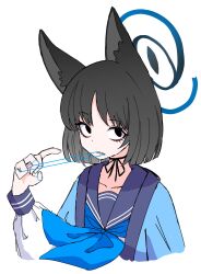 Rule 34 | 1girl, animal ear fluff, animal ears, black eyes, black hair, blue archive, blue neckerchief, cat ears, choker, clenched teeth, dot nose, dr yamero, halo, hand up, haori, highres, japanese clothes, kikyou (blue archive), long sleeves, looking at viewer, neckerchief, open mouth, ribbon choker, sailor collar, shirt, short hair, simple background, solid eyes, solo, string, string in mouth, teeth, upper body, white background, white shirt