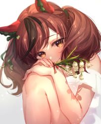 1girl animal_ears bare_shoulders blush brown_eyes brown_hair closed_mouth dress ear_covers flower highres holding holding_flower horse_ears horse_girl hugging_own_legs knees_up long_hair looking_at_viewer multicolored_hair nice_nature_(umamusume) ouri_(aya_pine) sitting smile snowbell_(flower) solo streaked_hair twintails umamusume white_dress