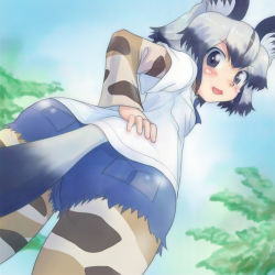 Rule 34 | 10s, african wild dog (kemono friends), animal ears, ass, blush, commentary request, denim, denim shorts, dog ears, dog tail, kemono friends, long hair, multicolored hair, open mouth, short hair, shorts, solo, t jiroo (ringofriend), tail