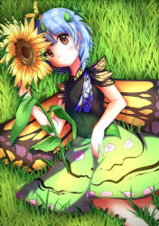 Rule 34 | 1girl, antennae, aqua hair, blush, brown eyes, butterfly wings, dress, eternity larva, fairy, flower, grass, green dress, hair between eyes, insect wings, leaf, leaf on head, multicolored clothes, multicolored dress, parted lips, short hair, short sleeves, single strap, solo, sunflower, touhou, wings, yellow flower, yuikannon