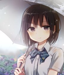 Rule 34 | 1girl, blush, bow, bowtie, boyano, breasts, brown eyes, brown hair, closed mouth, collared shirt, flower, holding, holding umbrella, hydrangea, light smile, looking at viewer, matching hair/eyes, medium breasts, original, outdoors, plant, rain, school uniform, see-through, shirt, short hair, solo, striped bow, striped bowtie, striped clothes, striped neckwear, umbrella, upper body, water drop, wet, wet clothes, wet shirt