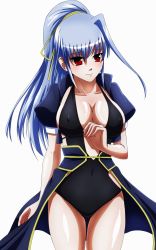 Rule 34 | 1girl, absurdres, breasts, cleavage, highres, long hair, lyrical nanoha, one-piece swimsuit, ponytail, red eyes, reinforce, silver hair, single hair intake, solo, swimsuit, tappa (esperanza)