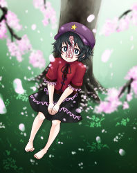 Rule 34 | 1girl, barefoot, black eyes, black hair, black neckwear, black ribbon, black skirt, blurry, blush, cabbie hat, cherry blossoms, chinese clothes, closed mouth, commentary request, day, depth of field, from above, full body, grass, hat, hat ornament, highres, jakomurashi, jiangshi, lace-trimmed sleeves, lace trim, looking up, miyako yoshika, ofuda, outdoors, own hands together, petals, purple hat, red shirt, ribbon, shirt, short hair, short sleeves, sitting, skirt, smile, solo, star (symbol), star hat ornament, tangzhuang, touhou, tree, wide sleeves