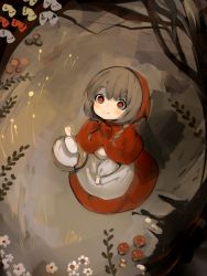 Rule 34 | 1girl, absurdres, apron, basket, blush, braid, branch, brown hair, bug, butterfly, capelet, child, dress, female focus, flower, forest, from above, grass, highres, hood, hood up, hooded capelet, insect, little red riding hood, little red riding hood (grimm), looking up, mushroom, nature, outdoors, red capelet, red dress, red pupils, shirokujira, smile, solo, tareme, tree, twin braids