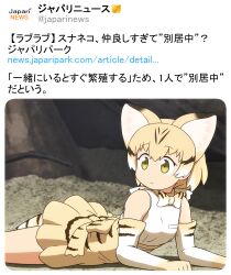 Rule 34 | 1girl, animal ears, black hair, blonde hair, bow, bowtie, cat ears, cat girl, cat tail, closed mouth, commentary request, elbow gloves, gloves, hair between eyes, high-waist skirt, highres, kemono friends, lying, multicolored hair, on stomach, pleated skirt, sand cat (kemono friends), shirosato, shirt, simple background, skirt, sleeveless, sleeveless shirt, solo, striped tail, tail, translation request, two-tone hair, white background, white bow, white bowtie, white gloves, white hair, white shirt, yahoo!, yellow eyes, yellow skirt