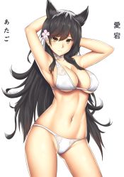 Rule 34 | 1girl, animal ears, arcie albano, armpits, arms behind head, arms up, artist name, atago (azur lane), atago (summer march) (azur lane), azur lane, bikini, black hair, blush, breasts, brown eyes, choker, cleavage, closed mouth, contrapposto, cowboy shot, flower, hair flower, hair ornament, highres, japanese text, large breasts, legs apart, long hair, looking at viewer, mole, mole under eye, navel, partially visible vulva, simple background, smile, solo, standing, stomach, swept bangs, swimsuit, translated, tsurime, very long hair, white background, white bikini, white neckwear