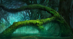 Rule 34 | fog, forest, hao &amp; su, landscape, moss, nature, scenery, tree, water, wetland