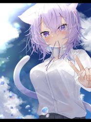 Rule 34 | 1girl, absurdres, animal ears, blue hair, blush, breasts, cat ears, cat girl, cat tail, collarbone, hair between eyes, highres, hololive, long sleeves, medium breasts, medium hair, mouth hold, neck ribbon removed, nekomata okayu, purple eyes, purple hair, purple ribbon, reine (reineko6), ribbon, see-through, shirt, sky, solo, tail, upper body, v, virtual youtuber, water drop, white shirt