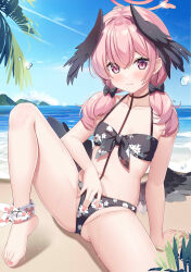 Rule 34 | 1girl, absurdres, bare arms, bikini, black bikini, black bow, black wings, blue archive, blue sky, blush, bow, breasts, closed mouth, collarbone, commentary, day, feathered wings, feet, fengshen chino, floral print, front-tie bikini top, front-tie top, hair bow, halo, head wings, highres, knee up, koharu (blue archive), koharu (swimsuit) (blue archive), legs, long hair, looking at viewer, low twintails, low wings, nail polish, navel, official alternate costume, outdoors, palm leaf, pink eyes, pink hair, pink halo, pink nails, print bikini, sitting, sky, small breasts, solo, stomach, swimsuit, toenail polish, toenails, toes, twintails, water, wet, wings