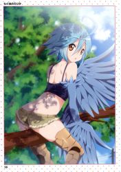 Rule 34 | 1girl, :o, absurdres, ahoge, artbook, artist name, ass, back, bird legs, black tank top, blue hair, blue wings, border, branch, brown shorts, butt crack, cropped shirt, feathered wings, feathers, feet out of frame, from behind, fur-trimmed shorts, fur trim, hair between eyes, harpy, highres, looking at viewer, looking back, micro shorts, monster girl, monster musume no iru nichijou, page number, papi (monster musume), ragho no erika, scan, short hair, shorts, sitting, solo, tank top, white border, winged arms, wings