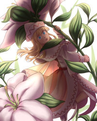 Rule 34 | 1girl, back, blonde hair, blue eyes, capelet, dress, fairy, fairy wings, flower, hat, highres, leaf, leaf umbrella, lily white, long hair, long sleeves, looking at viewer, looking back, mefomefo, open mouth, sash, simple background, solo, touhou, white background, white dress, wings