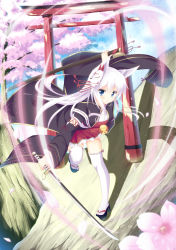 Rule 34 | 1girl, animal ears, bad id, bad pixiv id, blue eyes, blush, cherry blossoms, cloud, cloudy sky, day, detached sleeves, flower, fox ears, fox mask, highres, holding, holding sword, holding weapon, japanese clothes, katana, kitsune, long hair, looking at viewer, mask, mask on head, misaki yuu, original, petals, ribbon-trimmed legwear, ribbon trim, sky, solo, sword, thighhighs, torii, weapon, white hair, white thighhighs