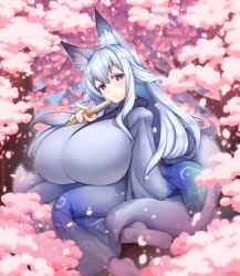 Rule 34 | 1girl, animal ear fluff, animal ears, blue kimono, breasts, byakusen (amabiko kote), cherry blossoms, forest, fox ears, fox girl, hand fan, highres, huge breasts, japanese clothes, kimono, long hair, nature, outdoors, purple eyes, sitting, solo, taut clothes, white hair