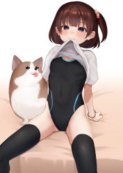 Rule 34 | 1girl, absurdres, animal, bad id, bad pixiv id, bed sheet, black thighhighs, blue eyes, blunt bangs, blush, brown hair, candy hair ornament, closed mouth, clothes lift, competition swimsuit, covered erect nipples, covered navel, dog, flat chest, food-themed hair ornament, hair ornament, highres, lifting own clothes, looking at viewer, on bed, one-piece swimsuit, one side up, original, shirt, shirt lift, short hair, short sleeves, simple background, sitting, skin tight, solo, swimsuit, swimsuit under clothes, takio (kani sama), thighhighs, white background, white shirt, wristband