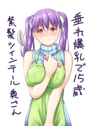 Rule 34 | 1girl, apron, breasts, brown eyes, hair ornament, hair ribbon, highres, ladle, large breasts, light purple hair, long hair, niwatazumi, original, ribbed sweater, ribbon, sleeveless, sleeveless turtleneck, solo, sweater, translation request, turtleneck, twintails