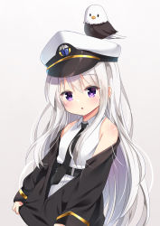 Rule 34 | 1girl, :o, absurdres, aged down, azur lane, bald eagle, bare shoulders, bird, black jacket, black necktie, blush, collared shirt, commentary, eagle, enterprise (azur lane), gradient background, grey background, grey hair, hair between eyes, hat, head tilt, highres, ikazu401, jacket, long hair, long sleeves, looking at viewer, necktie, off shoulder, parted lips, peaked cap, purple eyes, shirt, sleeveless, sleeveless shirt, sleeves past wrists, solo, upper body, very long hair, white hat, white shirt