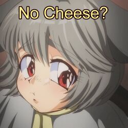 Rule 34 | 1990s (style), 1girl, :t, animal ears, blush, capelet, closed mouth, commentary, english text, grey capelet, grey hair, hair between eyes, highres, looking at viewer, meme, mouse ears, mouse girl, nazrin, no bitches? (meme), raised eyebrows, red eyes, retro artstyle, short hair, solo, step arts, symbol-only commentary, touhou