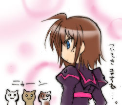Rule 34 | 1girl, :3, blue eyes, brown hair, cat, lowres, lyrical nanoha, mahou shoujo lyrical nanoha, mahou shoujo lyrical nanoha a&#039;s, mahou shoujo lyrical nanoha a&#039;s portable: the battle of aces, stern the destructor, solo, translation request