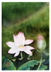 Rule 34 | absurdres, blurry, blurry background, flower, flower focus, highres, leaf, moss, original, painting (medium), plant, plant focus, sazanka 352, scenery, stamp mark, still life, traditional media, watercolor (medium), white flower