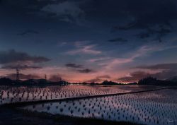 Rule 34 | cloud, dusk, lights, mountainous horizon, no humans, original, outdoors, papi (papiron100), power lines, reflection, rice paddy, rural, scenery, signature, star (sky), transmission tower