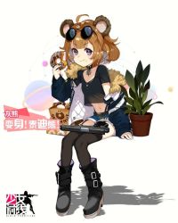Rule 34 | 1girl, animal ears, bear ears, black footwear, black neckwear, black shirt, black thighhighs, blue jacket, blue shorts, boots, breasts, brown hair, child, doughnut, eating, eyewear on head, food, girls&#039; frontline, grizzly mkv (girls&#039; frontline), gun, jacket, l.a.r. manufacturing, lar grizzly win mag, looking at viewer, plant, potted plant, purple eyes, shirt, short hair, shorts, sitting, sunglasses, thighhighs, weapon