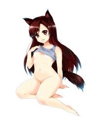 Rule 34 | 1girl, animal ears, bare legs, barefoot, blush, bottomless, breasts, brown hair, clothes lift, fang, fingernails, full body, highres, imaizumi kagerou, long hair, navel, open mouth, red eyes, shirt lift, simple background, small breasts, smile, solo, tail, takakura shioto, touhou, white background, wolf ears, wolf tail
