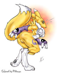 Rule 34 | 00s, 1girl, animal hands, blue eyes, blush, breasts, claws, digimon, digimon (creature), digimon tamers, digitigrade, furry, furry female, gauntlets, nipples, pussy, renamon, small nipples, solo, standing, tail, thick thighs, thighs, watermark, yin yang
