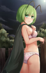 Rule 34 | 1girl, adworse, antennae, ass, back, black cape, blush, bra, breasts, cape, closed mouth, cloud, commentary request, cowboy shot, fence, from behind, full moon, green eyes, green hair, grey sky, hair between eyes, looking at viewer, looking back, medium bangs, moon, night, outdoors, panties, pink bra, pink panties, short hair, sky, small breasts, solo, star (sky), starry sky, touhou, tree, underwear, underwear only, wooden fence, wriggle nightbug