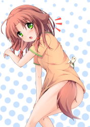 Rule 34 | 1girl, animal ears, bad id, bad pixiv id, blush, bottomless, brown hair, dog ears, dog tail, fang, green eyes, highres, looking at viewer, open mouth, original, oruto (ort+), oruton, polka dot, polka dot background, solo, tail, turtle