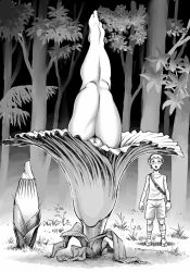 Rule 34 | 1boy, 1girl, alraune, blush, cleft of venus, clothed male nude female, double deck, flower, forest, full body, grass, greyscale, highres, legs, legs together, monochrome, monster girl, nature, nude, original, parted lips, plant girl, pointy ears, pussy, shirt, shorts, standing, titan arum, tree, uncensored, upside-down, wide-eyed