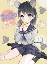 Rule 34 | 1girl, 2020, animal ears, arms up, bad id, bad pixiv id, black hair, black sailor collar, black socks, blue eyes, blue neckerchief, blue skirt, blush, brown footwear, cheese, chinese zodiac, commentary request, eating, english text, fingernails, flat chest, food, food in mouth, grey serafuku, hair between eyes, happy new year, head tilt, highres, loafers, long hair, looking at viewer, mochi, mouse (animal), mouse ears, mouse girl, mouse tail, neckerchief, new year, original, patterned background, pleated skirt, sailor collar, school uniform, serafuku, shoes, sitting, skirt, sleeve cuffs, socks, solo, spread legs, swiss cheese, tail, utaka (anyoanyot), very long hair, wariza, year of the rat, yellow background