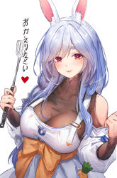 Rule 34 | 1girl, absurdres, animal ear fluff, animal ears, apron, blue hair, blush, bodystocking, braid, breasts, carrot, cleavage, clothing cutout, collarbone, highres, hololive, large breasts, light blue hair, long hair, long sleeves, looking at viewer, mature female, pekomama, rabbit ears, rabbit girl, red eyes, see-through, see-through cleavage, shoulder cutout, smile, solo, spatula, thick eyebrows, translation request, ura illust, virtual youtuber, white apron, white hair