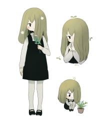 Rule 34 | 1girl, arm at side, ayu (mog), black dress, black eyes, black footwear, closed mouth, collared shirt, daisy, dress, flower, green hair, hair ornament, hair over one eye, holding, holding flower, leaf hair ornament, long sleeves, looking at viewer, multiple views, one eye covered, original, pantyhose, pinafore dress, plant, pot, potted plant, shirt, shoes, sleeveless dress, smile, standing, white flower, white pantyhose, white shirt