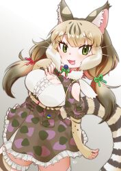 Rule 34 | 1girl, animal ears, belt, camouflage, cat ears, cat girl, cat tail, elbow gloves, extra ears, fingerless gloves, gloves, green eyes, grey background, grey hair, highres, jacket, jungle cat (kemono friends), kemono friends, kemono friends v project, long hair, looking at viewer, microphone, mugise hitsuji, ribbon, shirt, simple background, skirt, solo, tail, thighhighs, twintails, virtual youtuber