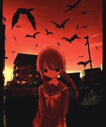 Rule 34 | 1girl, aircraft, animal, bird, braid, building, city, closed mouth, crow, dove, feathers, flock, highres, long hair, long sleeves, noroi (rnatataki), original, outdoors, pleated skirt, power lines, sailor collar, school uniform, seagull, serafuku, shirt, silhouette, skirt, sky, solo, twin braids, utility pole