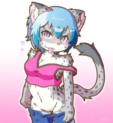 Rule 34 | 1girl, :p, akio asahi, blue eyes, blue hair, breasts, female focus, furry, furry female, gradient background, matching hair/eyes, short hair, short shorts, shorts, snow leopard, solo, tongue, tongue out, undressing, white background